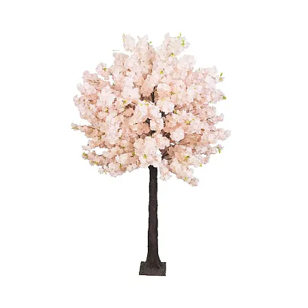 images/uploads/22234/thumb_22037 web.webp